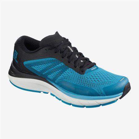 Salomon SONIC RA MAX 2 Erkek Koşu Ayakkabısı Mavi TR C2W3